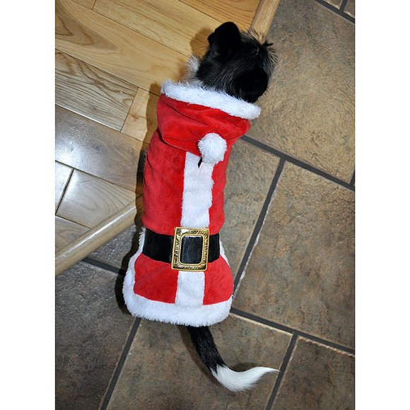 Dog Santa Claus Christmas Pet Costume (Size S) - Picture 6 of 8